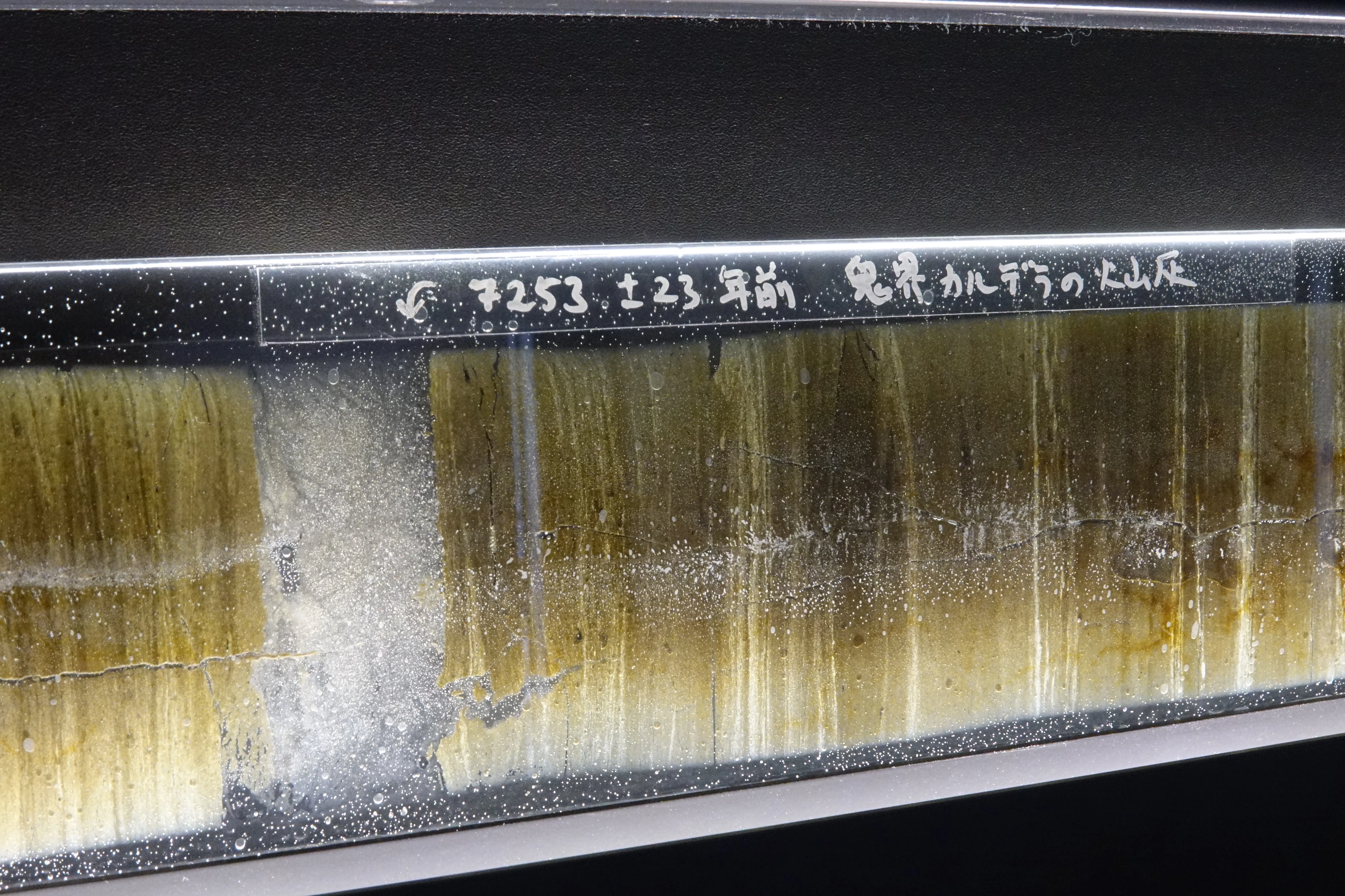 Annual sediment layers in a lake bed core, with a darker volcanic ash band visible across the strata