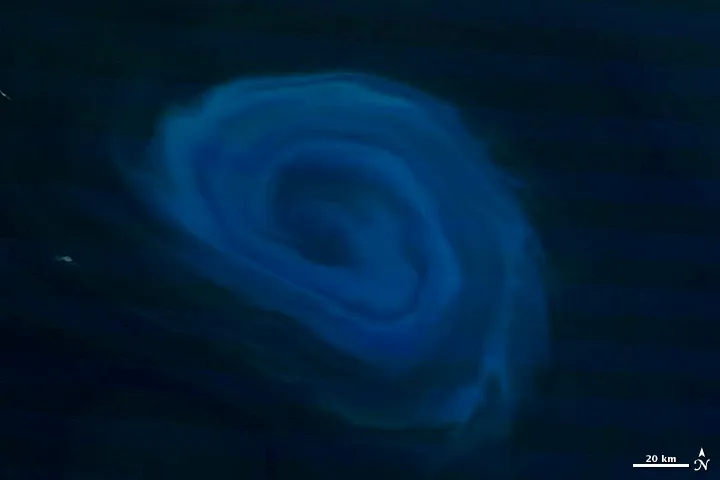 A 150-kilometer ocean eddy south of South Africa, traced in plankton bloom — the whirlpool that brings life